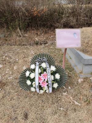 [2019] 김미영동지 12주기 추모제 썸네일 사진